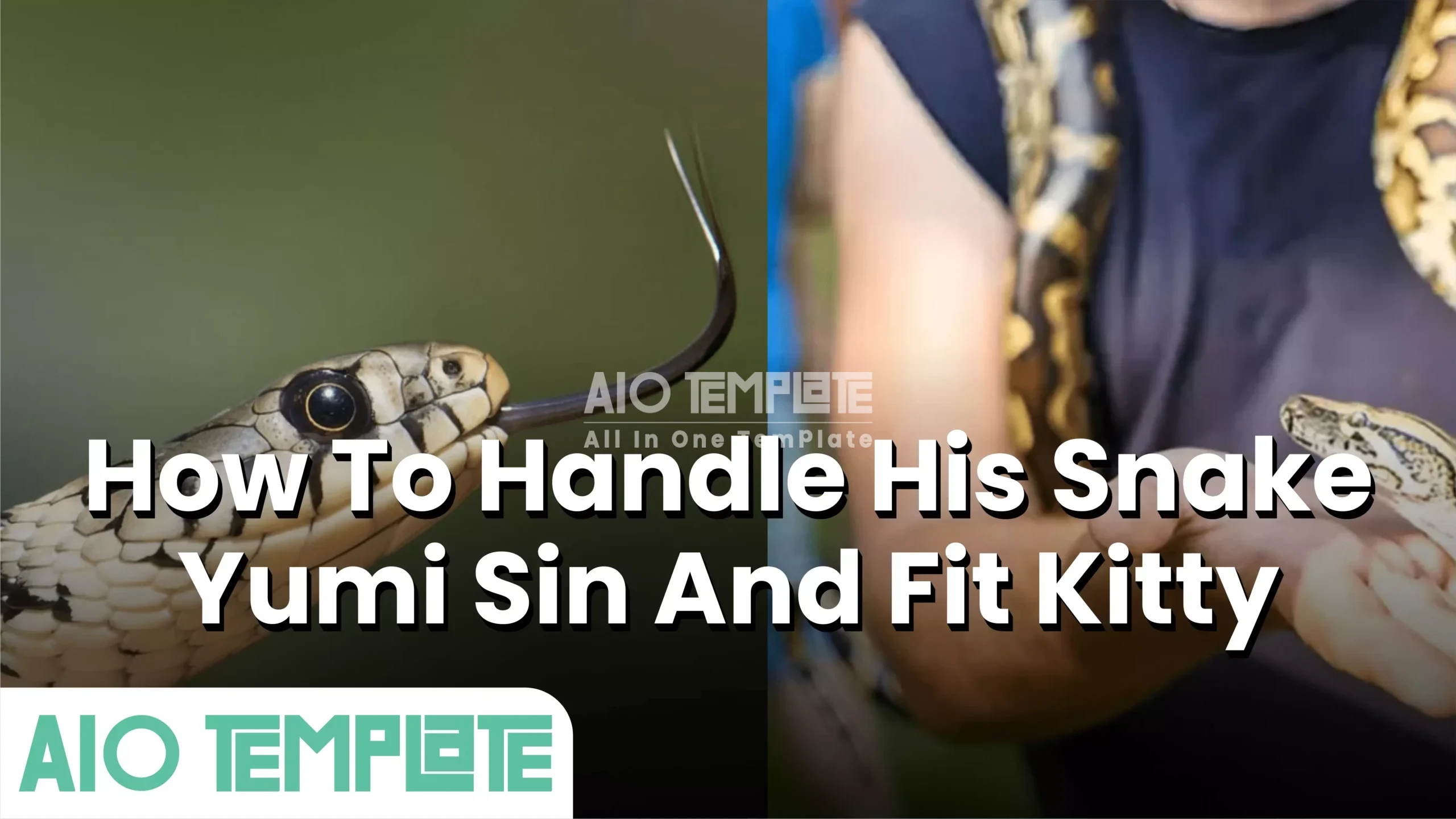 How To Handle His Snake Yumi Sin And Fit Kitty